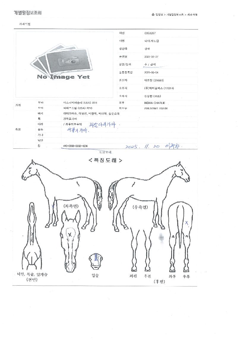 ŸÀ̰ŵ帲ÀÇ Ãø¸é,¿ì¸é,µÞ¸é,µÎ»ó,´Ù¸®ÀÇ Æ¯Â¡µµÇØ