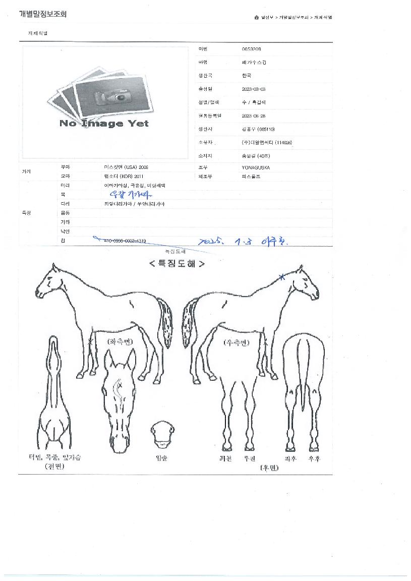 �䰡����ŷ�� ����,���,�޸�,�λ�,�ٸ��� Ư¡����