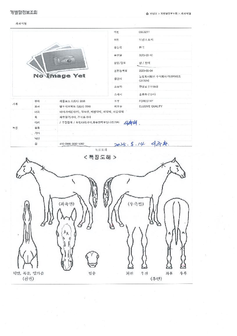 ´õ¼±½ºÅ丮ÀÇ Ãø¸é,¿ì¸é,µÞ¸é,µÎ»ó,´Ù¸®ÀÇ Æ¯Â¡µµÇØ