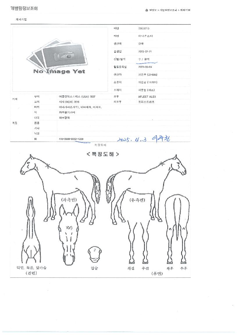 �ٳ�����Ÿ�� ����,���,�޸�,�λ�,�ٸ��� Ư¡����