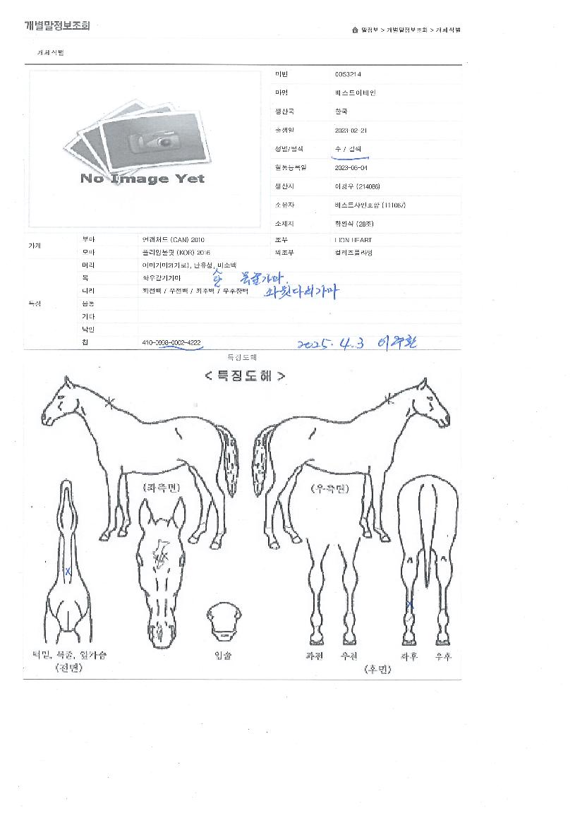 º£½ºÆ®¾îº£ÀÎÀÇ Ãø¸é,¿ì¸é,µÞ¸é,µÎ»ó,´Ù¸®ÀÇ Æ¯Â¡µµÇØ