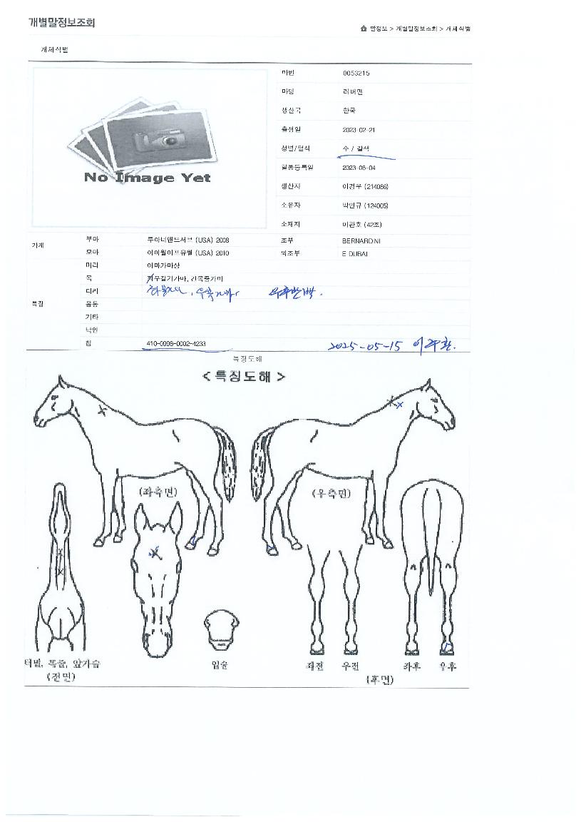 ·¯¹ö¸ÇÀÇ Ãø¸é,¿ì¸é,µÞ¸é,µÎ»ó,´Ù¸®ÀÇ Æ¯Â¡µµÇØ