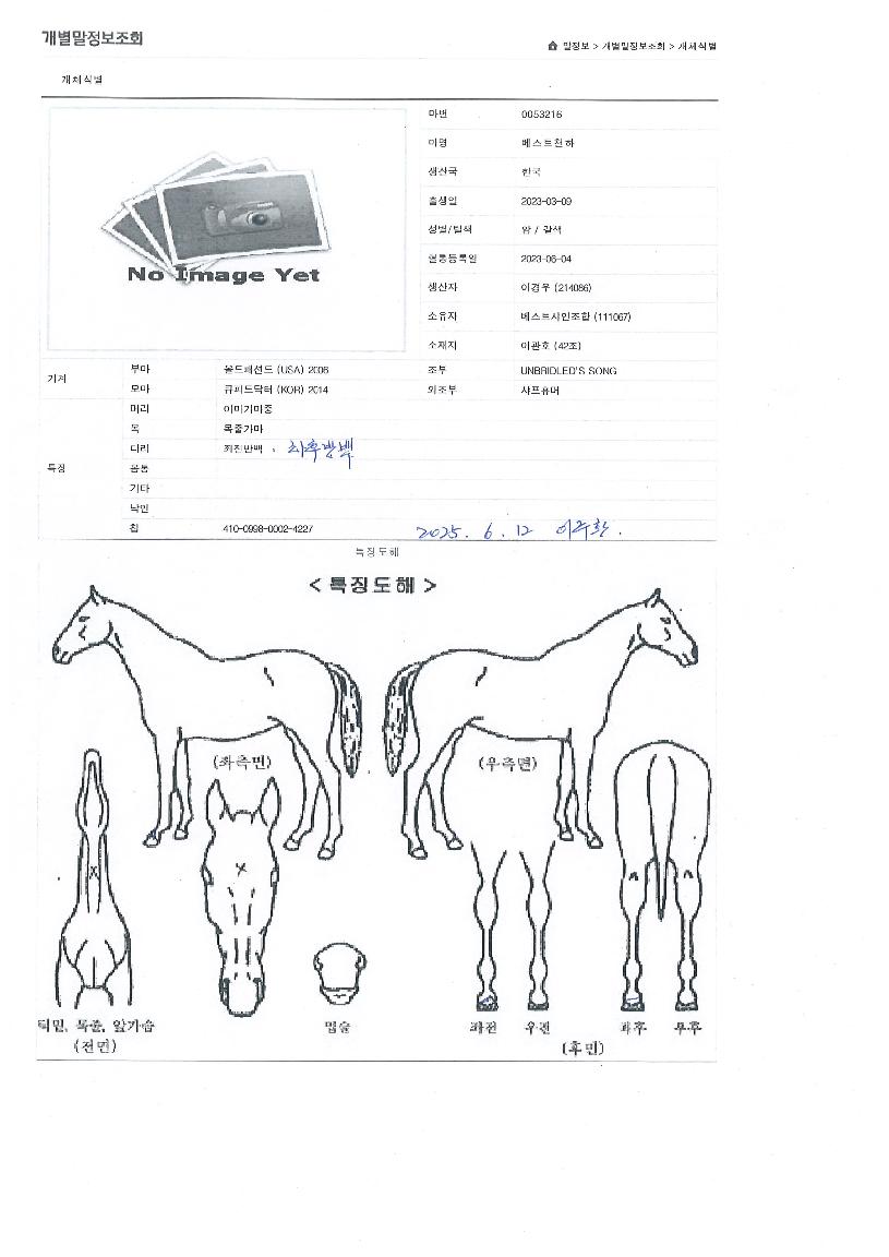 ����Ʈõ���� ����,���,�޸�,�λ�,�ٸ��� Ư¡����