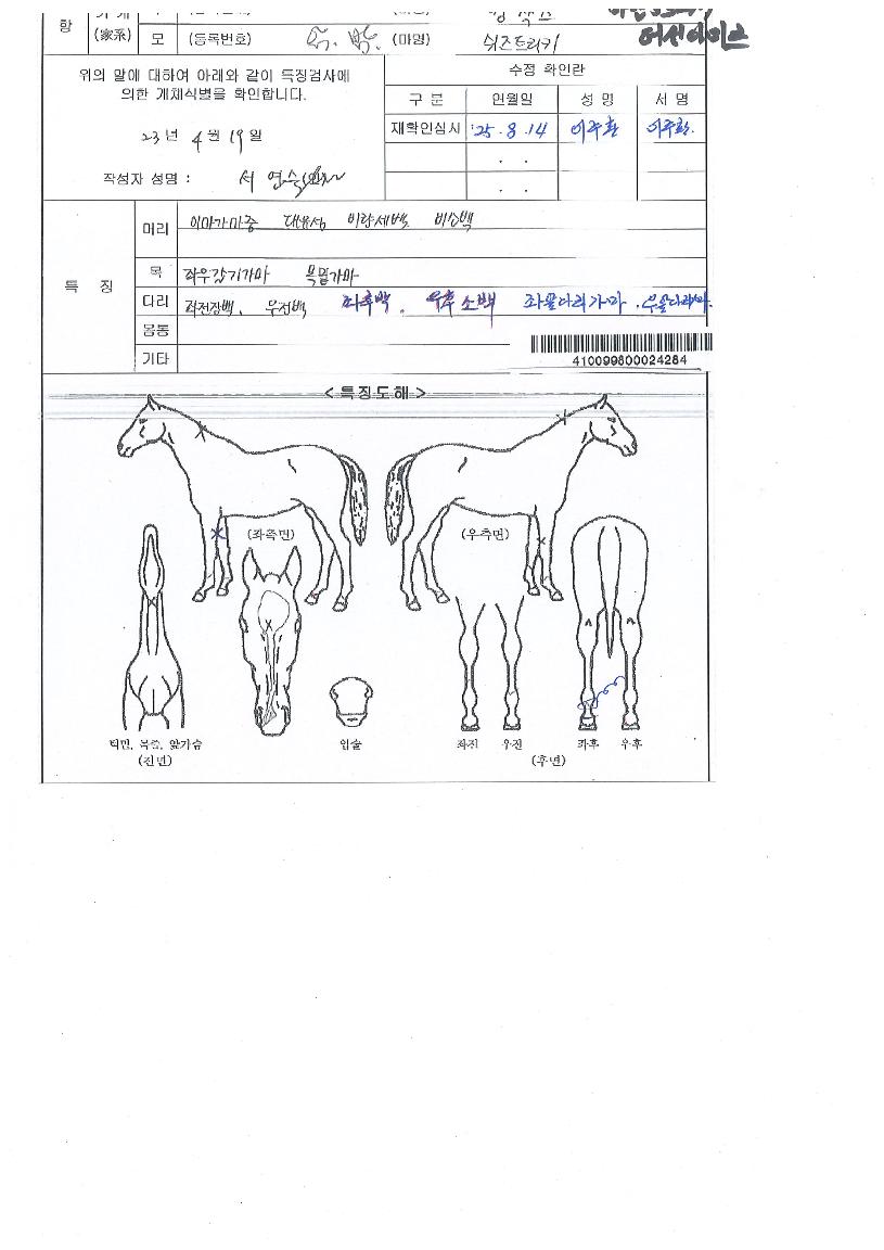 �����ƹ̸��� ����,���,�޸�,�λ�,�ٸ��� Ư¡����