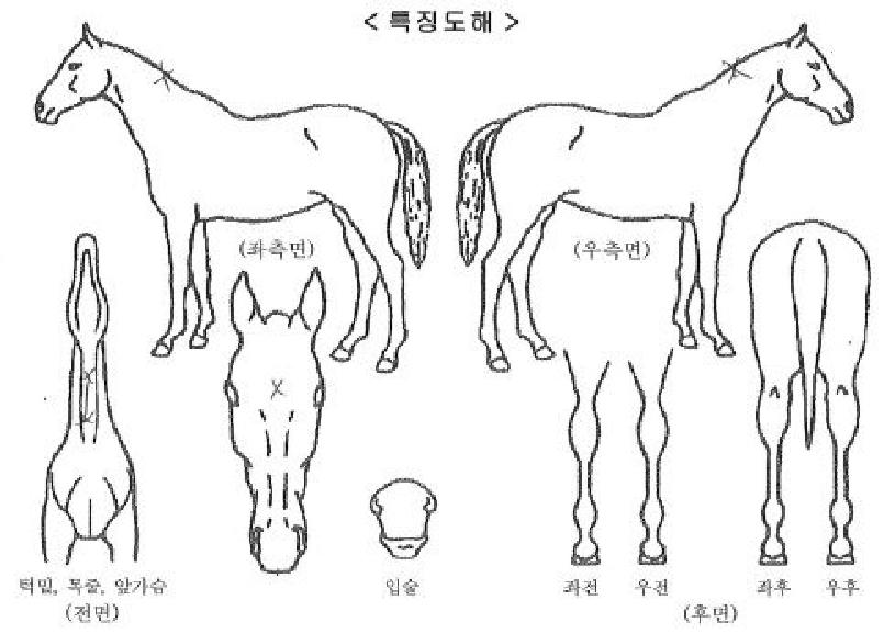 ���̺���Ʈ�� ����,���,�޸�,�λ�,�ٸ��� Ư¡����