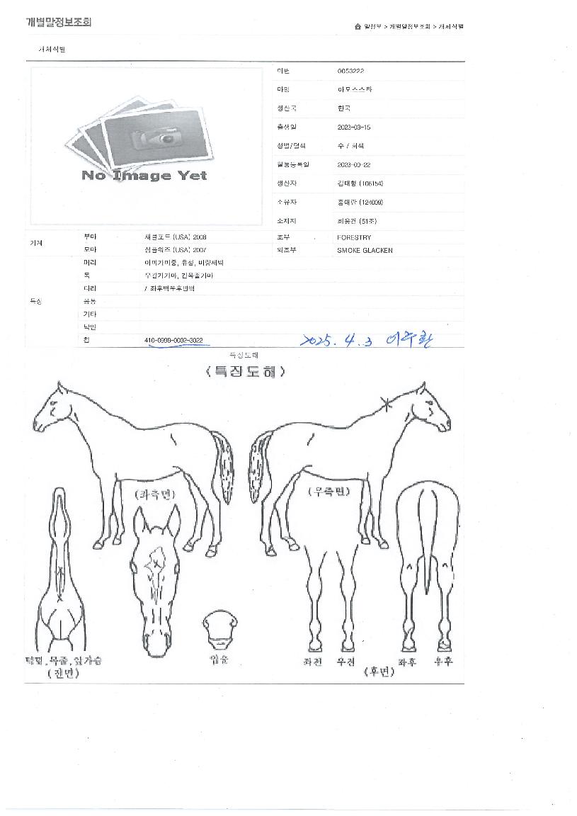 �Ƹ𽺽�Ÿ�� ����,���,�޸�,�λ�,�ٸ��� Ư¡����