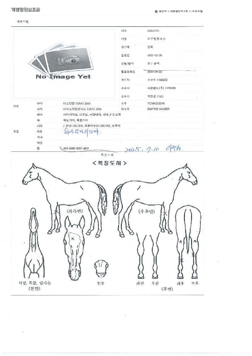 ��¿��������� ����,���,�޸�,�λ�,�ٸ��� Ư¡����