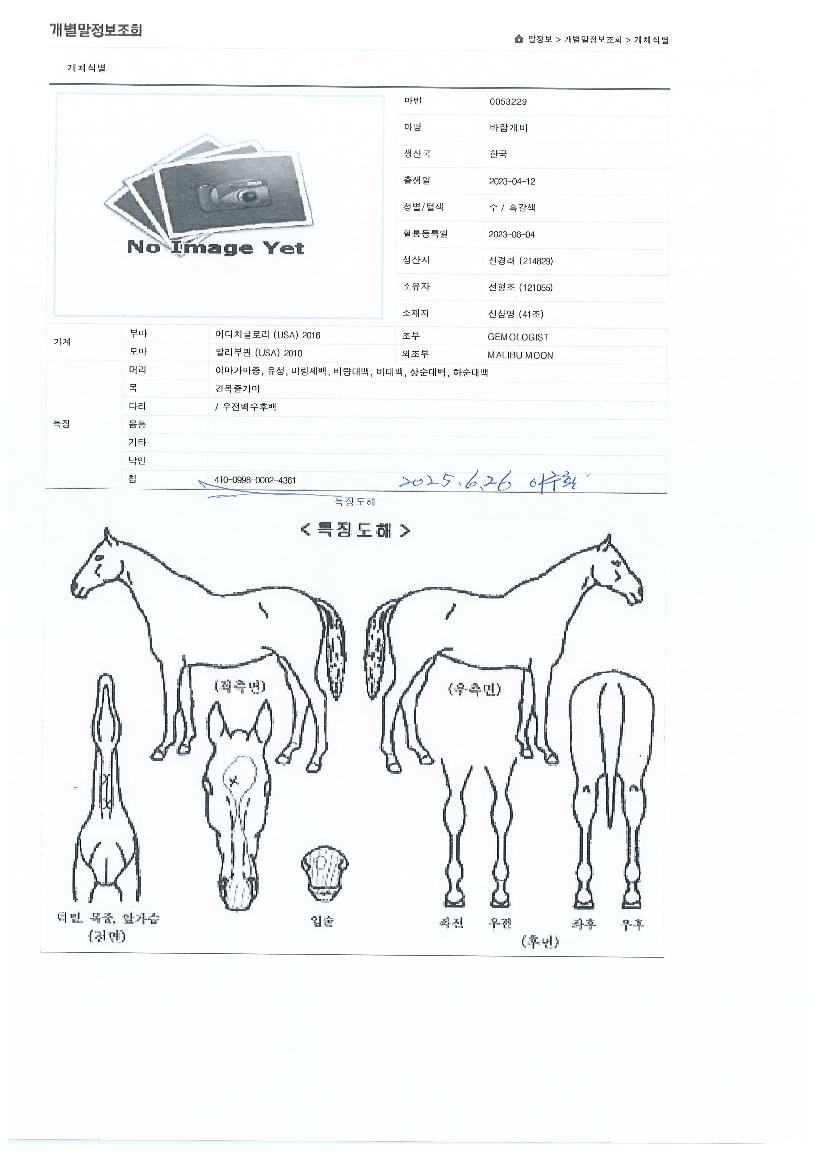 ¹Ù¶÷°³ºñÀÇ Ãø¸é,¿ì¸é,µÞ¸é,µÎ»ó,´Ù¸®ÀÇ Æ¯Â¡µµÇØ