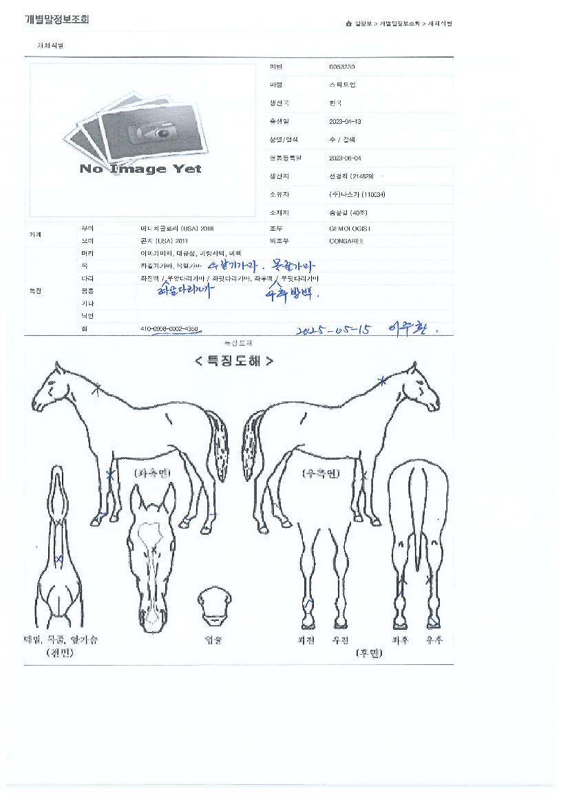 ½ºÅ¸Æ®¾÷ÀÇ Ãø¸é,¿ì¸é,µÞ¸é,µÎ»ó,´Ù¸®ÀÇ Æ¯Â¡µµÇØ