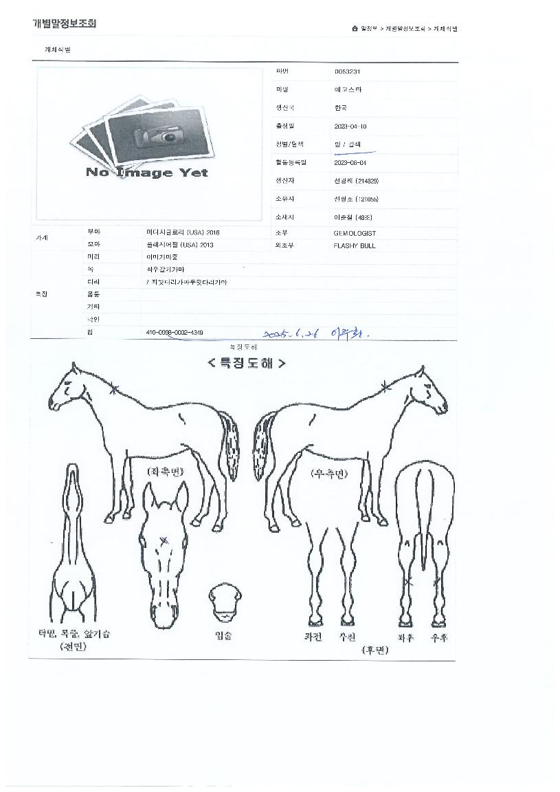 ���ڽ�Ÿ�� ����,���,�޸�,�λ�,�ٸ��� Ư¡����