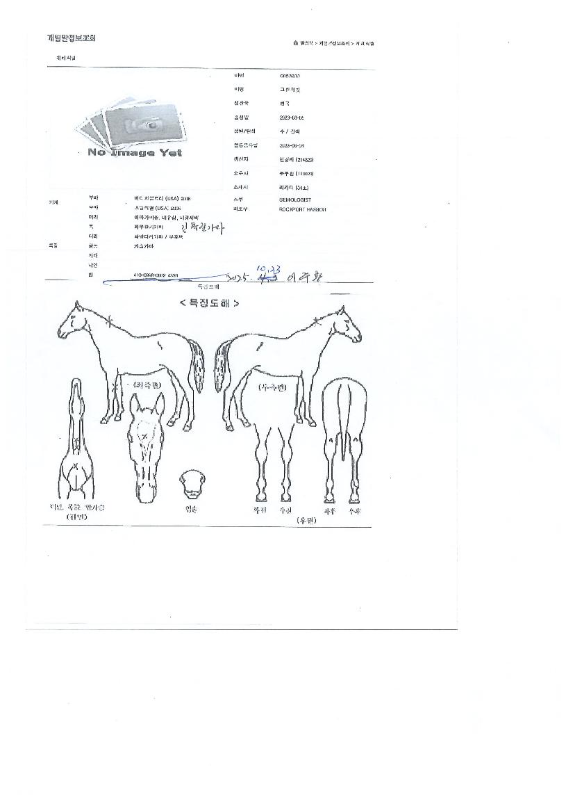 �׸���Ŷ�� ����,���,�޸�,�λ�,�ٸ��� Ư¡����