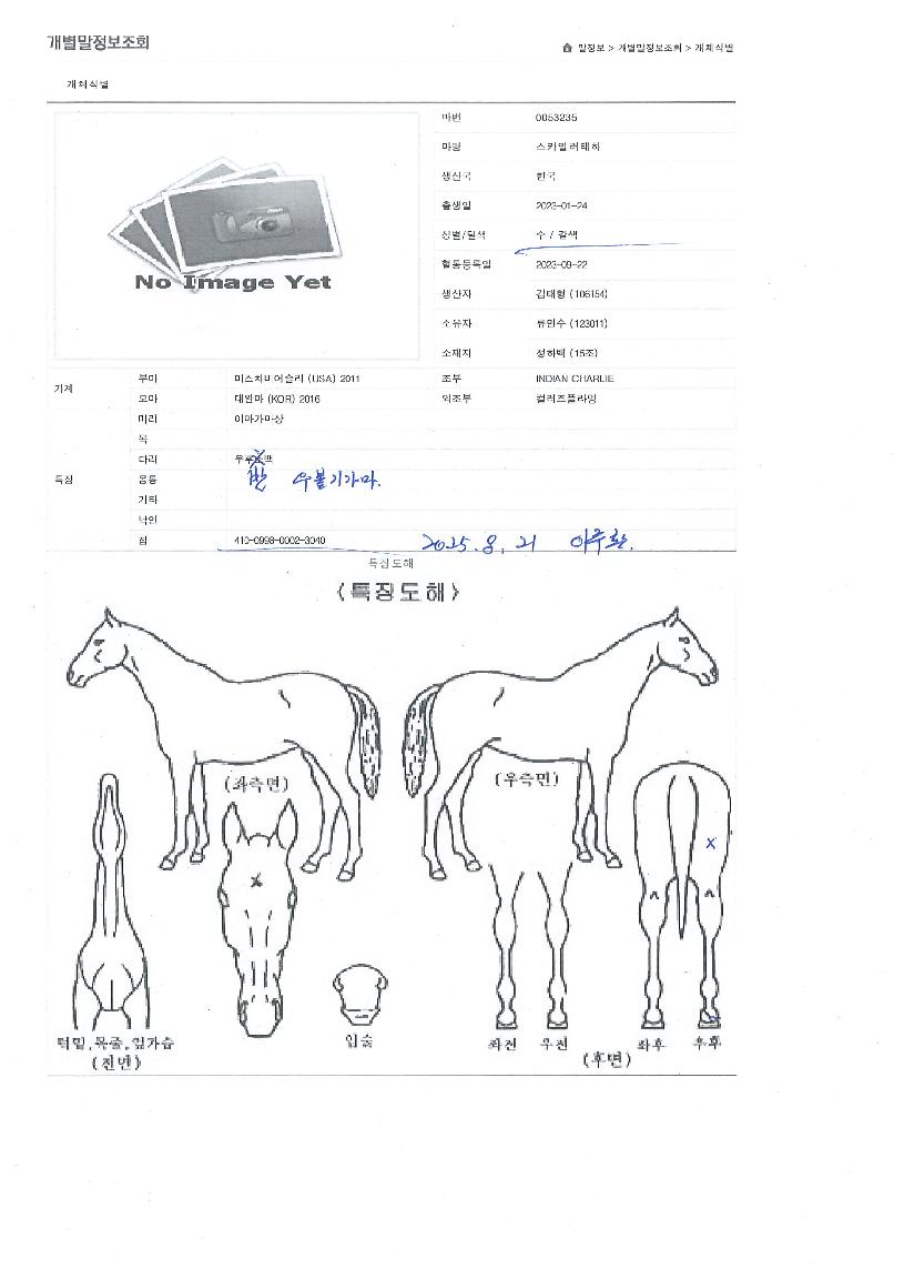 ½ºÄ«ÀÏ·¯ÅÂÇÏÀÇ Ãø¸é,¿ì¸é,µÞ¸é,µÎ»ó,´Ù¸®ÀÇ Æ¯Â¡µµÇØ