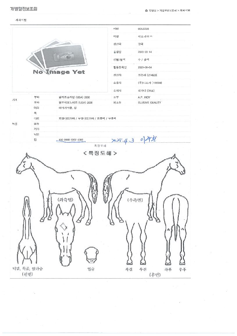 ¼ÇÁ¶óÀÌÁîÀÇ Ãø¸é,¿ì¸é,µÞ¸é,µÎ»ó,´Ù¸®ÀÇ Æ¯Â¡µµÇØ