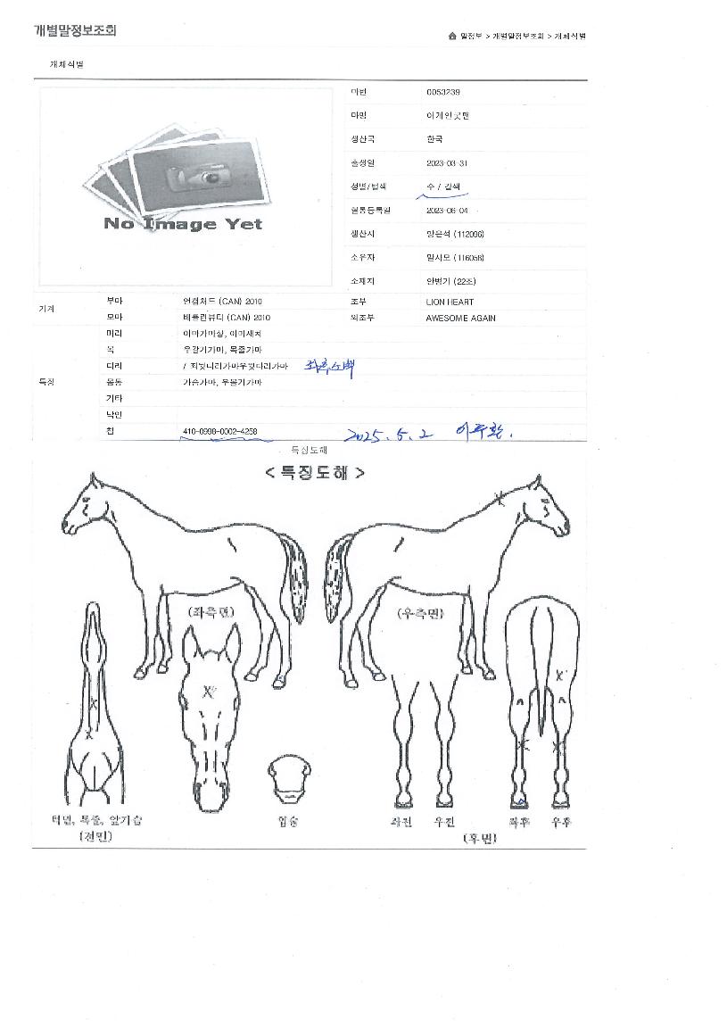 ����α¸��� ����,���,�޸�,�λ�,�ٸ��� Ư¡����