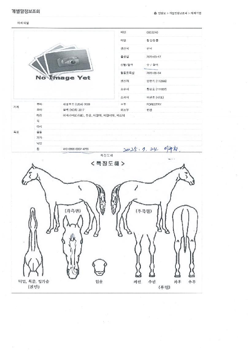 û»êµ¹Ç³ÀÇ Ãø¸é,¿ì¸é,µÞ¸é,µÎ»ó,´Ù¸®ÀÇ Æ¯Â¡µµÇØ
