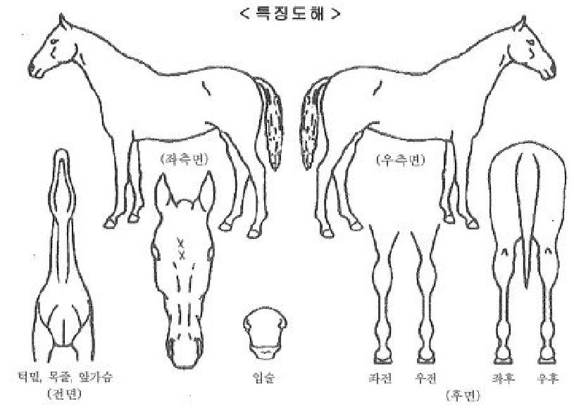 ���������� ����,���,�޸�,�λ�,�ٸ��� Ư¡����