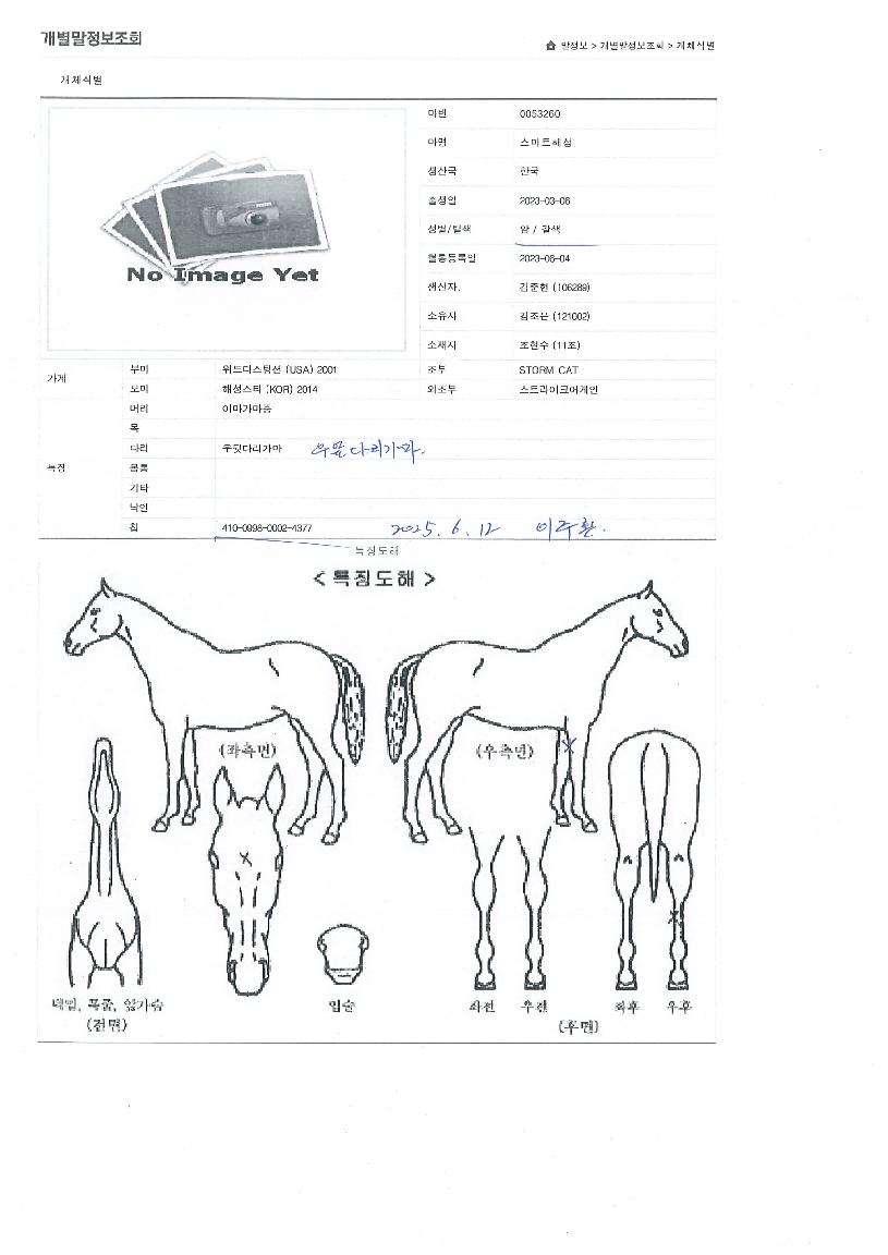 ½º¸¶Æ®ÇؼºÀÇ Ãø¸é,¿ì¸é,µÞ¸é,µÎ»ó,´Ù¸®ÀÇ Æ¯Â¡µµÇØ