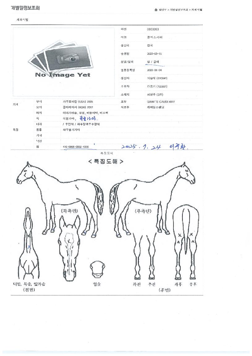 Äݹ̽ºÄ«ÀÌÀÇ Ãø¸é,¿ì¸é,µÞ¸é,µÎ»ó,´Ù¸®ÀÇ Æ¯Â¡µµÇØ