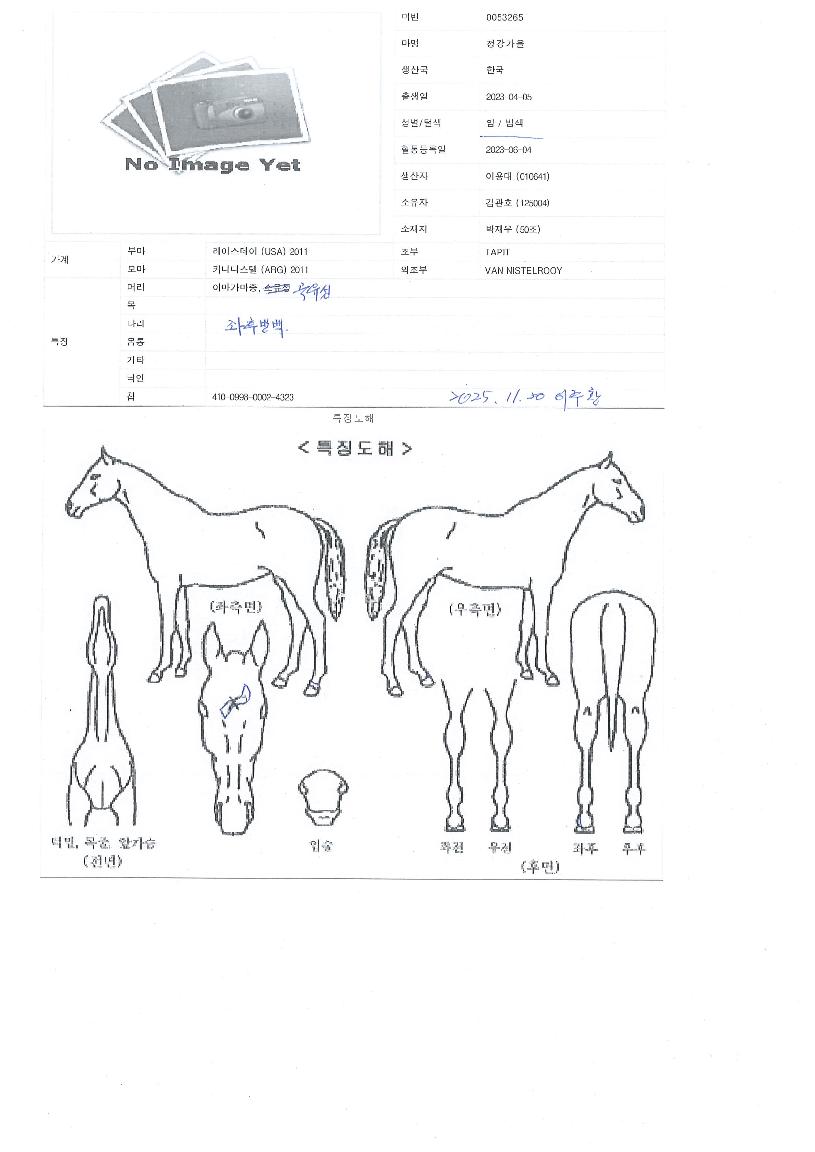 û°°¡À»ÀÇ Ãø¸é,¿ì¸é,µÞ¸é,µÎ»ó,´Ù¸®ÀÇ Æ¯Â¡µµÇØ