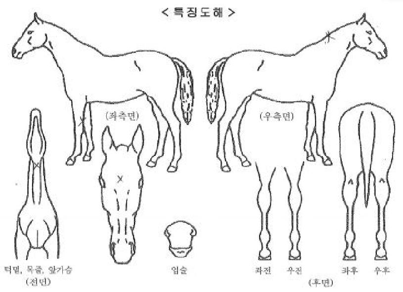 ���ν����� ����,���,�޸�,�λ�,�ٸ��� Ư¡����