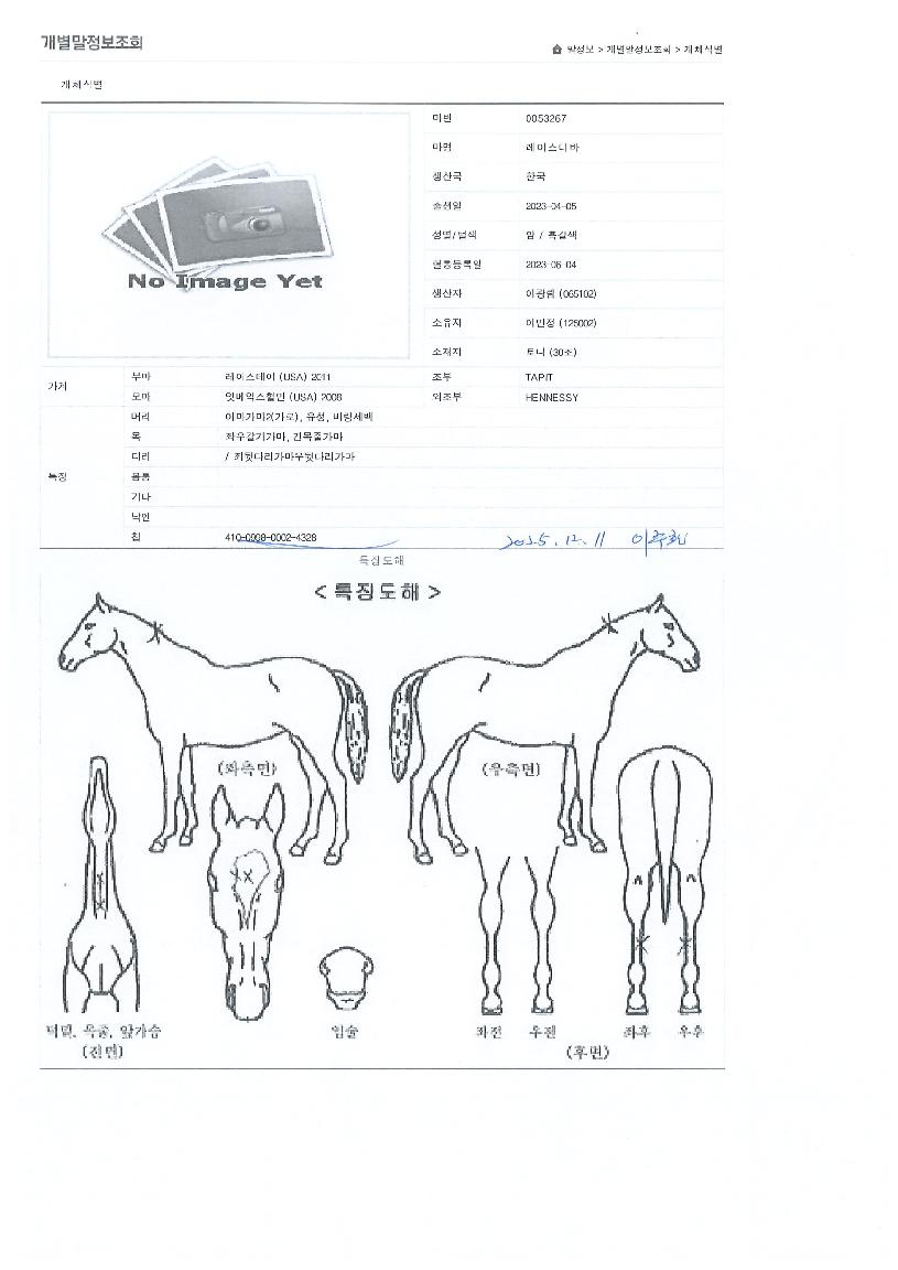 ���̽������ ����,���,�޸�,�λ�,�ٸ��� Ư¡����