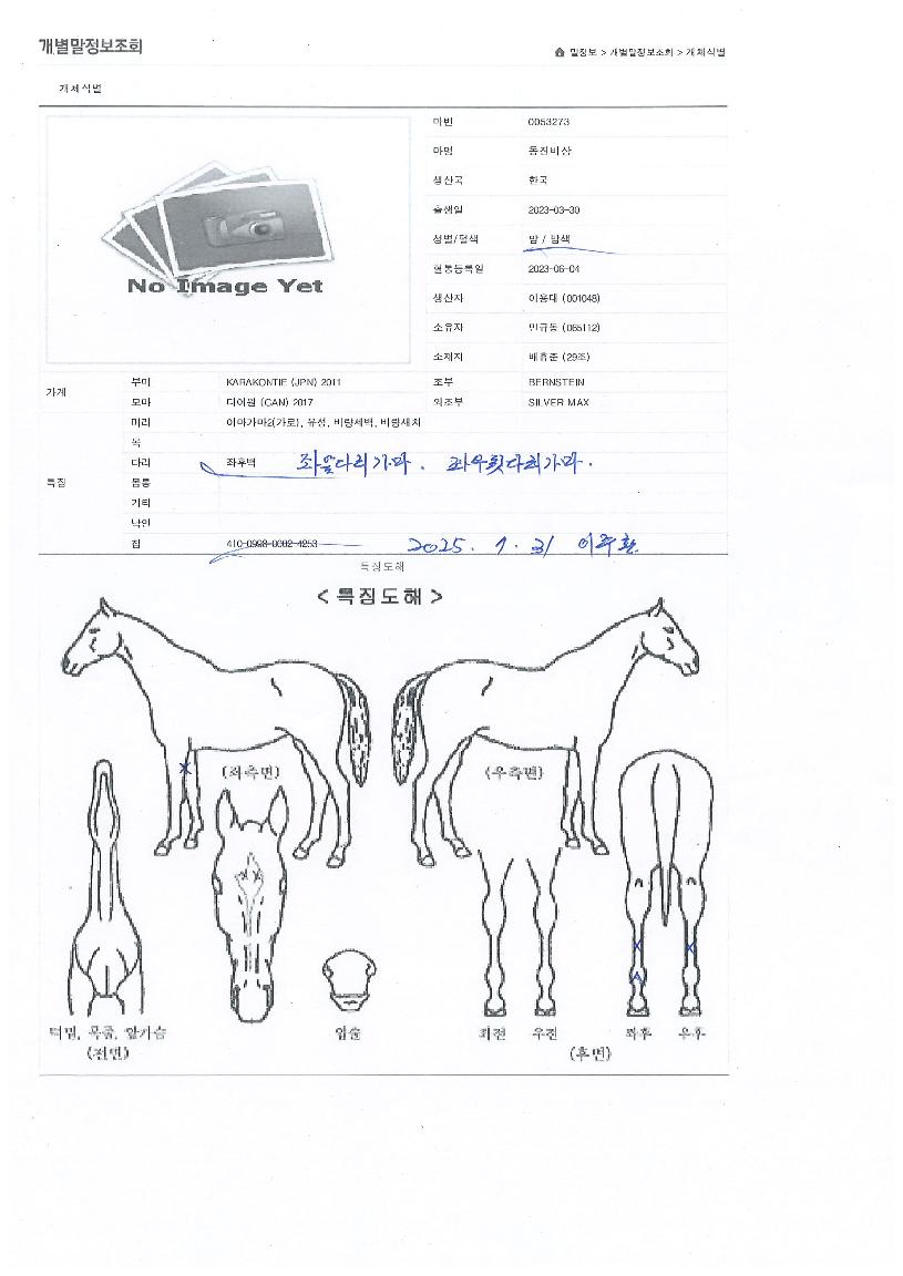 µ¿Áøºñ»óÀÇ Ãø¸é,¿ì¸é,µÞ¸é,µÎ»ó,´Ù¸®ÀÇ Æ¯Â¡µµÇØ