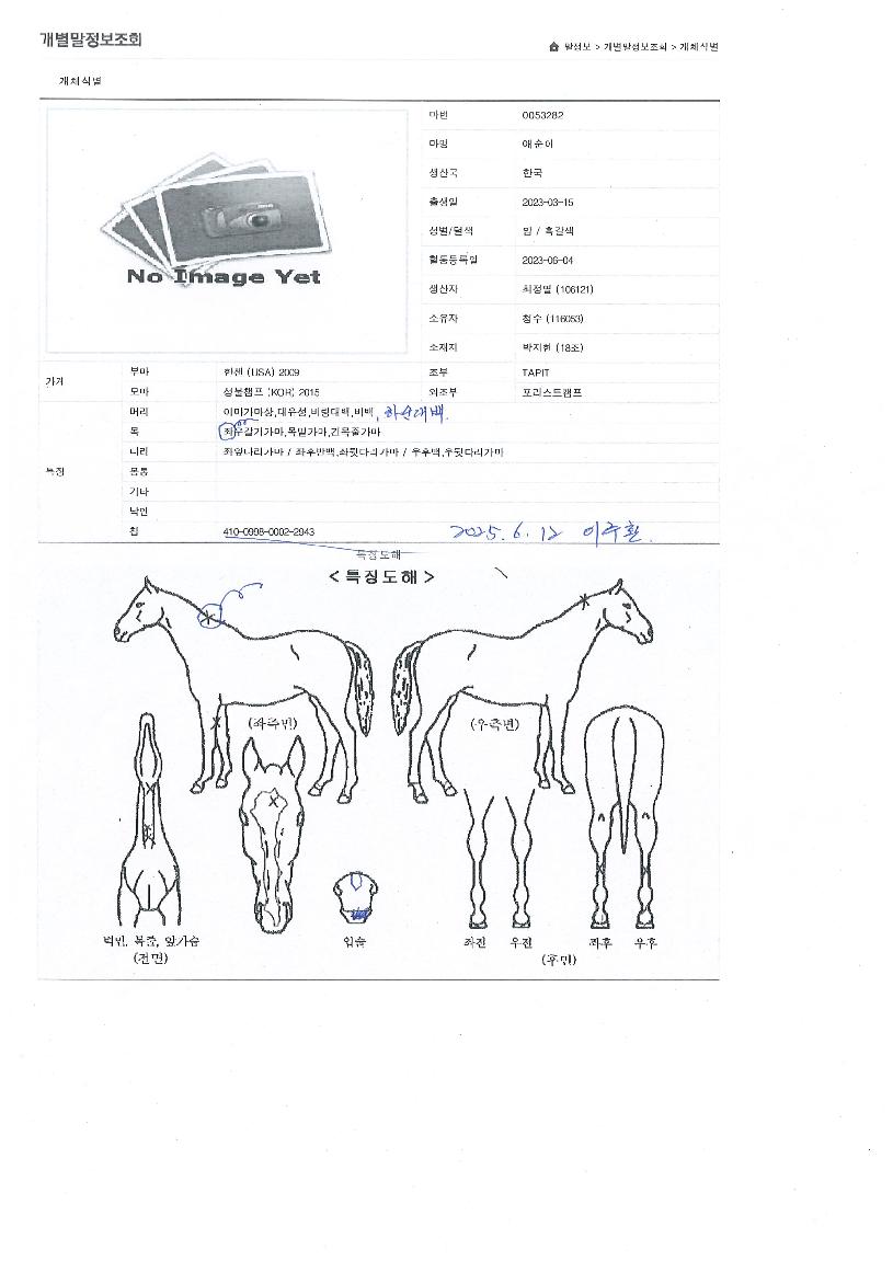 �ּ����� ����,���,�޸�,�λ�,�ٸ��� Ư¡����