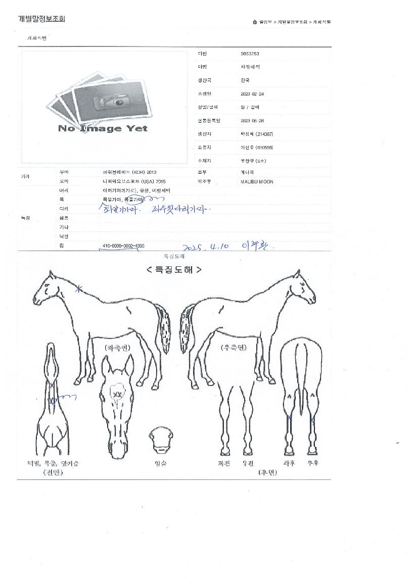 ÆÄ¿ö¸ÅÁ÷ÀÇ Ãø¸é,¿ì¸é,µÞ¸é,µÎ»ó,´Ù¸®ÀÇ Æ¯Â¡µµÇØ