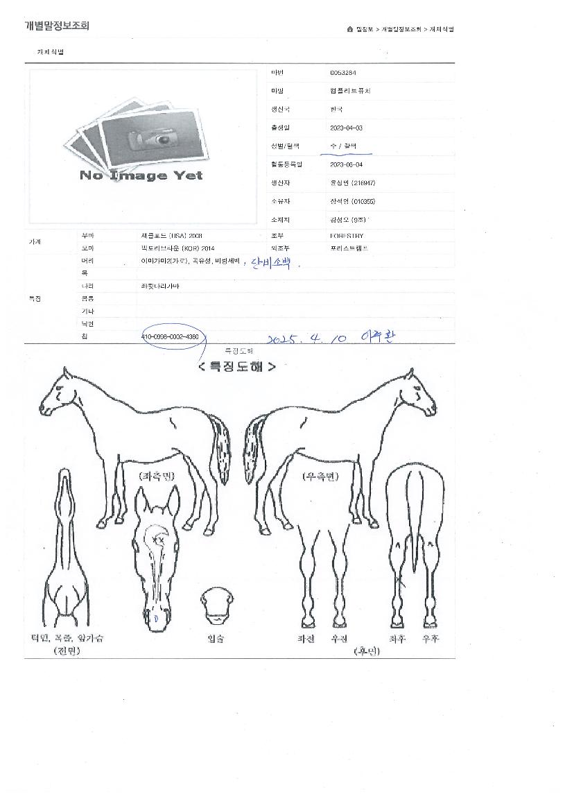 ���ø�Ʈǻó�� ����,���,�޸�,�λ�,�ٸ��� Ư¡����