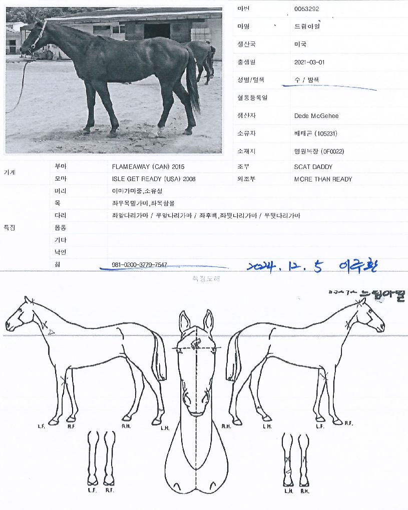 �帲������ ����,���,�޸�,�λ�,�ٸ��� Ư¡����