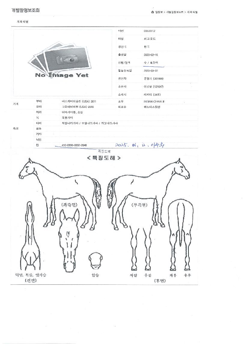 ÃÖ°í°ñµåÀÇ Ãø¸é,¿ì¸é,µÞ¸é,µÎ»ó,´Ù¸®ÀÇ Æ¯Â¡µµÇØ