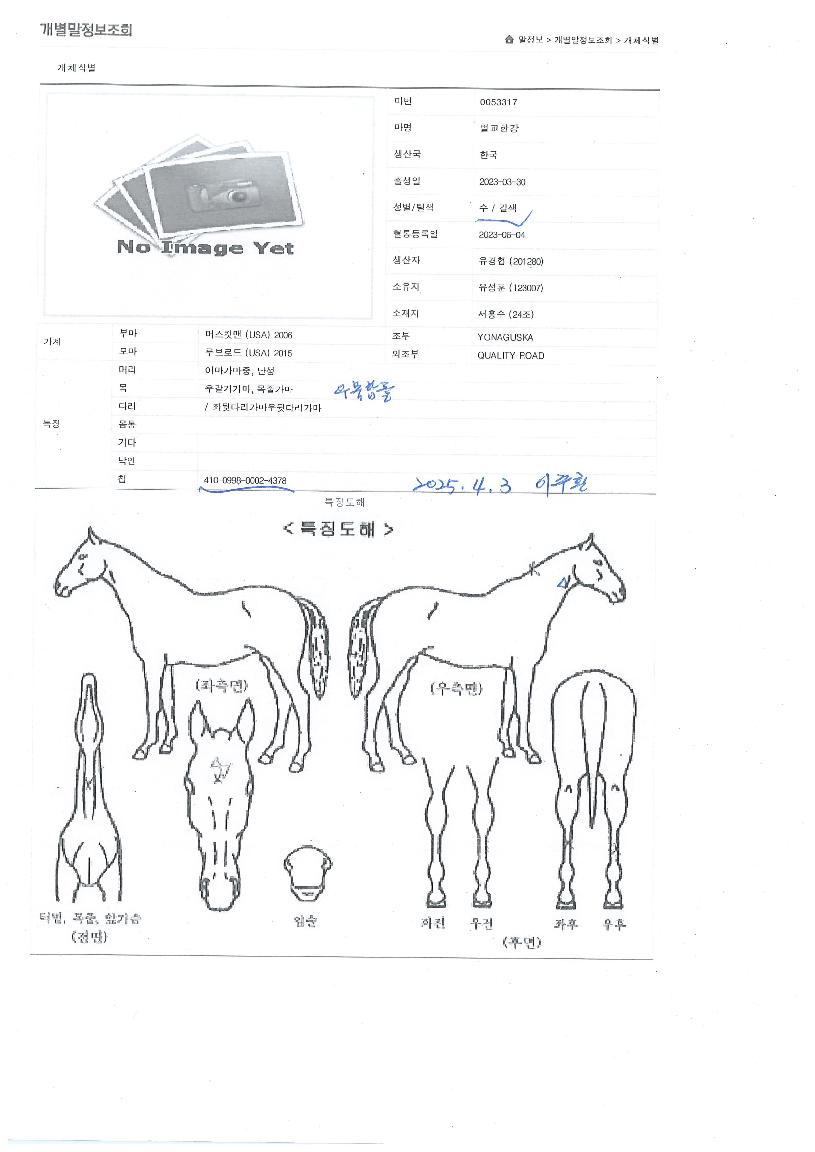 ¹ú±³½Ã±×´ÏóÀÇ Ãø¸é,¿ì¸é,µÞ¸é,µÎ»ó,´Ù¸®ÀÇ Æ¯Â¡µµÇØ