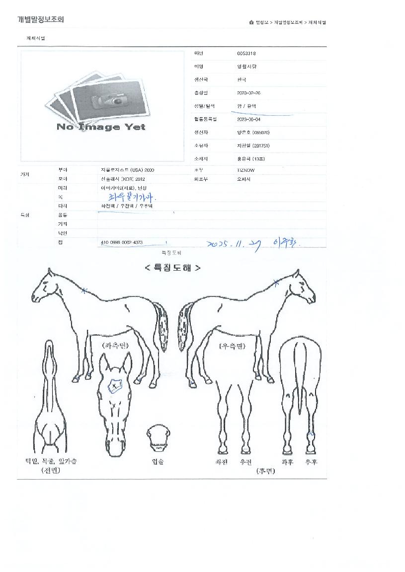 ��������� ����,���,�޸�,�λ�,�ٸ��� Ư¡����