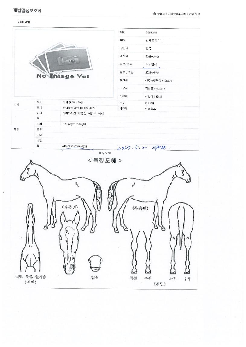 ��ü���ڸ����� ����,���,�޸�,�λ�,�ٸ��� Ư¡����