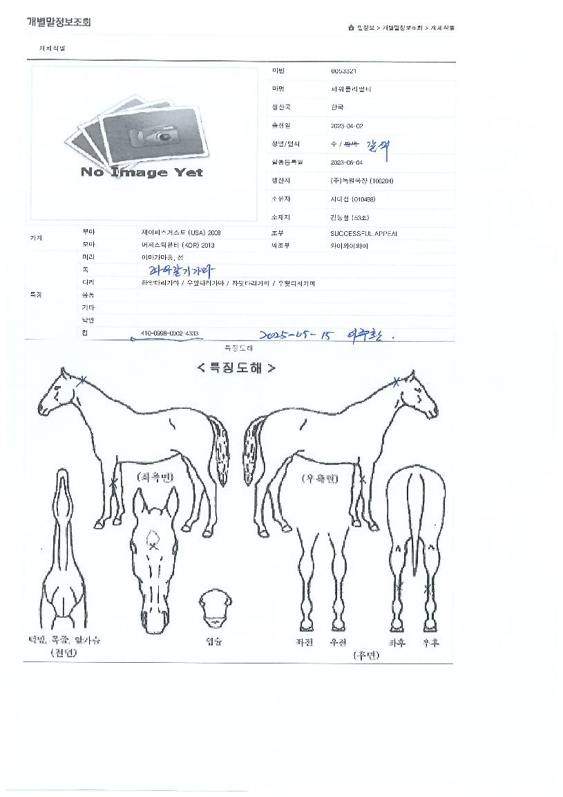 ÆÄ¿öÇ®¸®¾óƼÀÇ Ãø¸é,¿ì¸é,µÞ¸é,µÎ»ó,´Ù¸®ÀÇ Æ¯Â¡µµÇØ