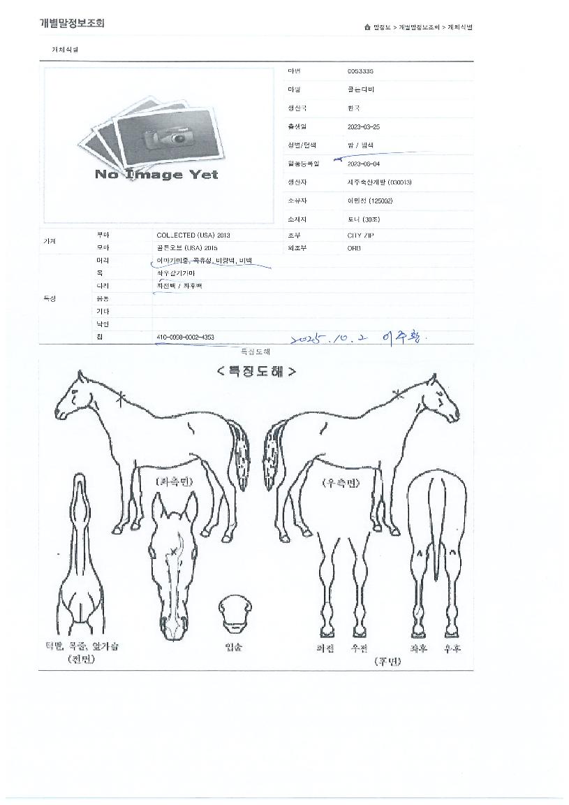 ������� ����,���,�޸�,�λ�,�ٸ��� Ư¡����