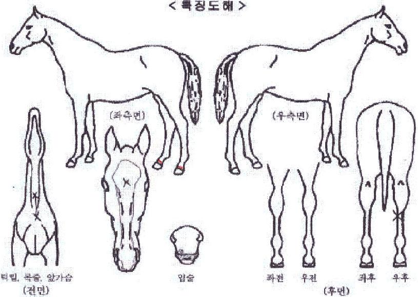 ���ƽý������� ����,���,�޸�,�λ�,�ٸ��� Ư¡����