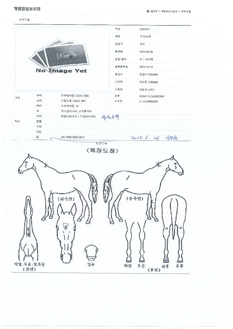 ¿ì¸®½´ÆÛÀÇ Ãø¸é,¿ì¸é,µÞ¸é,µÎ»ó,´Ù¸®ÀÇ Æ¯Â¡µµÇØ