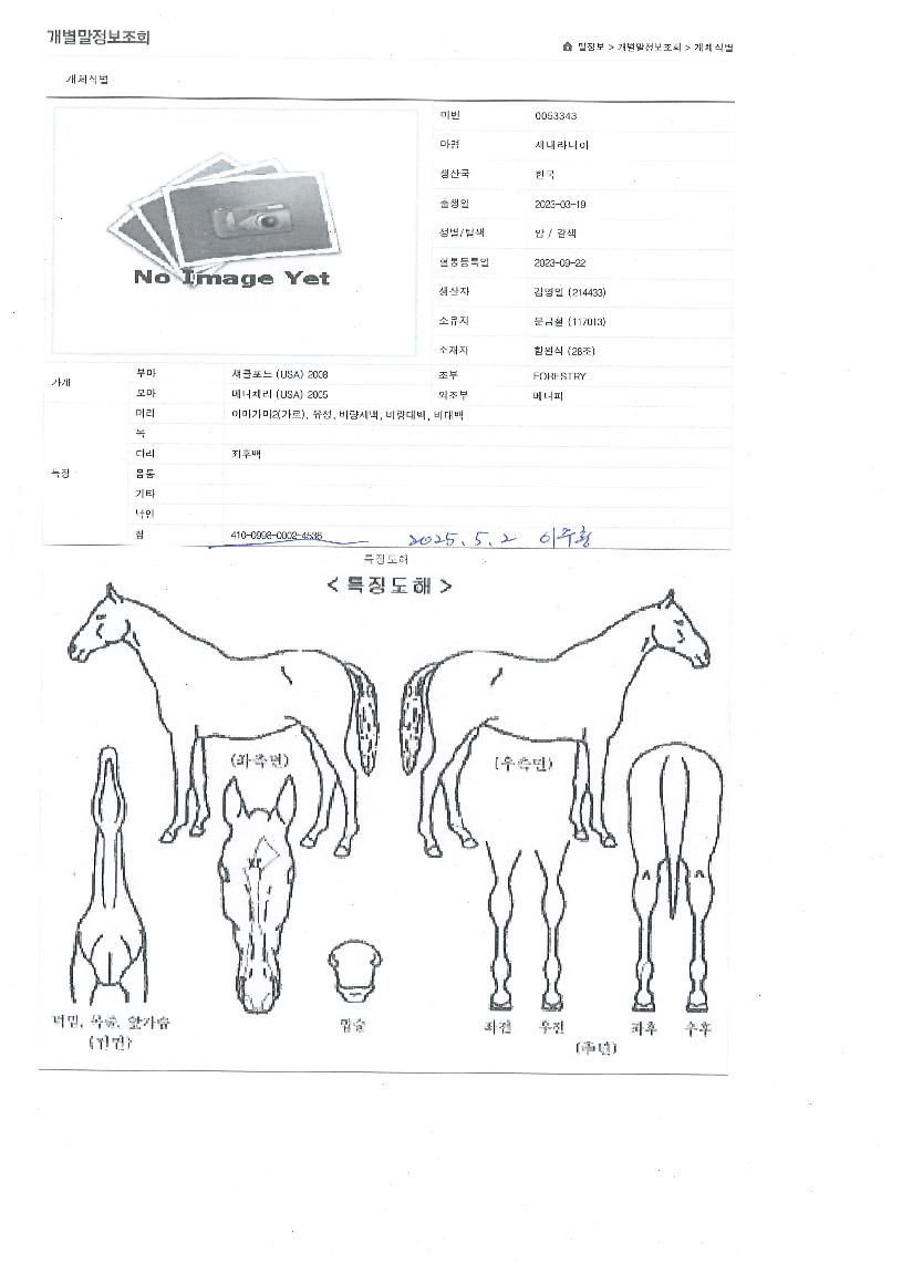 »õ³»¶ó´Ï¾ÆÀÇ Ãø¸é,¿ì¸é,µÞ¸é,µÎ»ó,´Ù¸®ÀÇ Æ¯Â¡µµÇØ