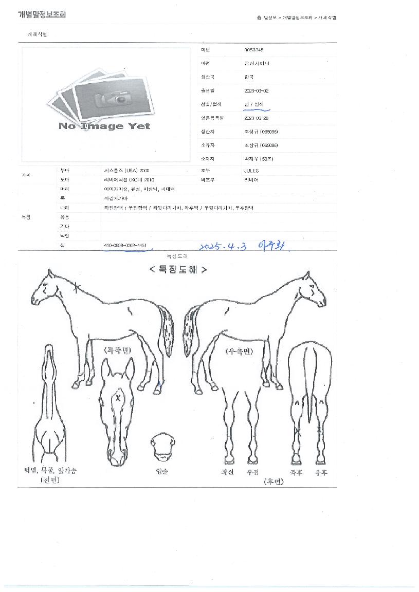 �ݼ����̴��� ����,���,�޸�,�λ�,�ٸ��� Ư¡����