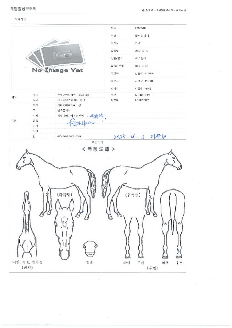 ÇöóÀ׾ƳÊÀÇ Ãø¸é,¿ì¸é,µÞ¸é,µÎ»ó,´Ù¸®ÀÇ Æ¯Â¡µµÇØ