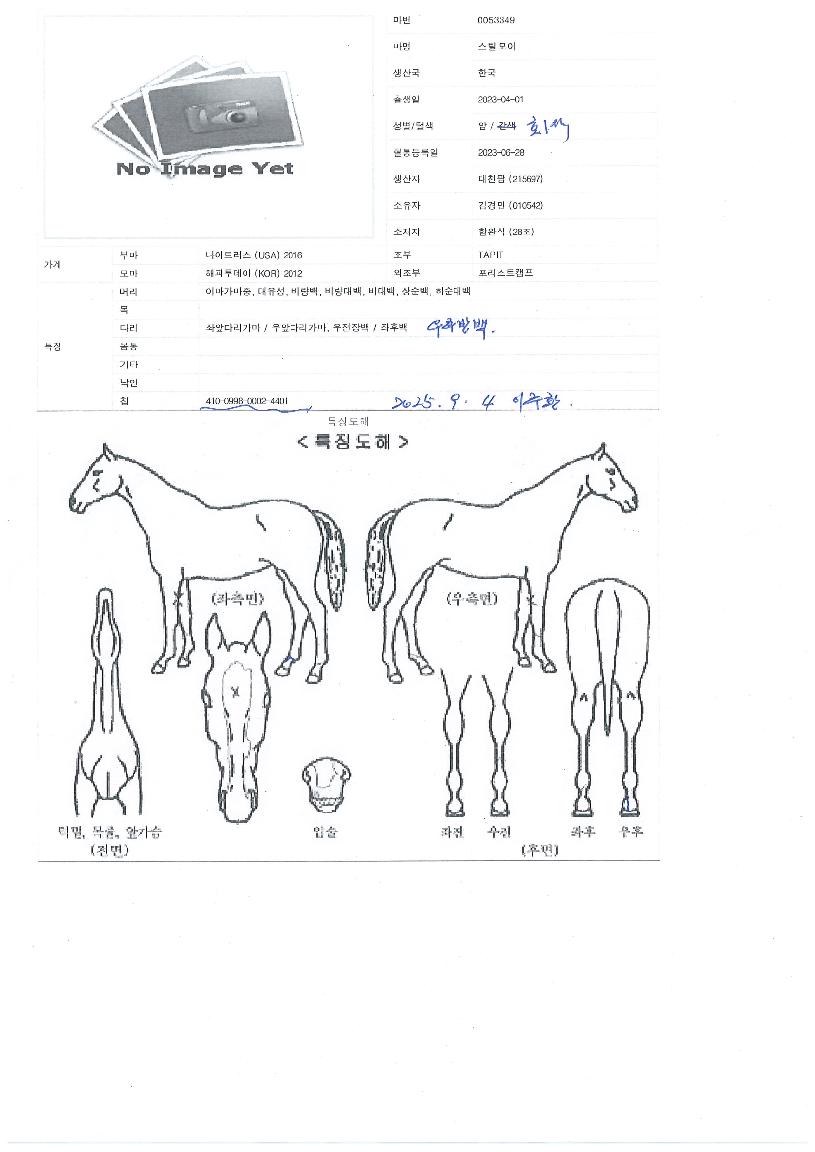 ��ƿ����� ����,���,�޸�,�λ�,�ٸ��� Ư¡����