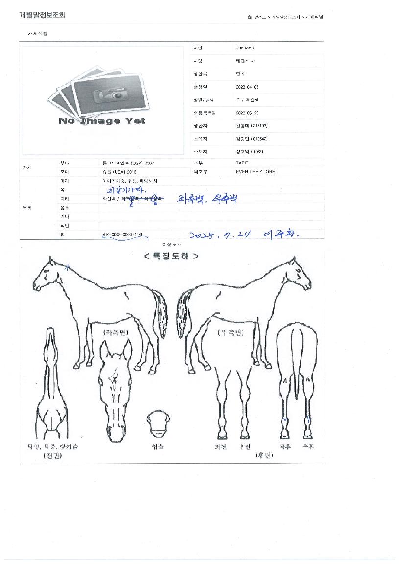 ÄÉ·»½Ã¾ÆÀÇ Ãø¸é,¿ì¸é,µÞ¸é,µÎ»ó,´Ù¸®ÀÇ Æ¯Â¡µµÇØ