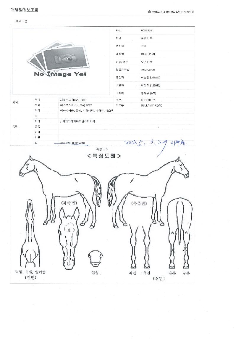 ¿ëºñ½ÅÈÀÇ Ãø¸é,¿ì¸é,µÞ¸é,µÎ»ó,´Ù¸®ÀÇ Æ¯Â¡µµÇØ