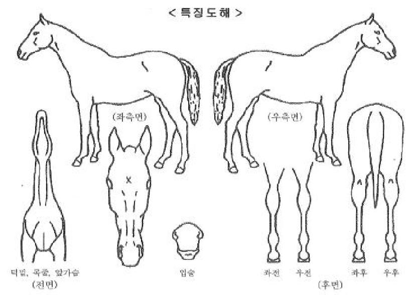 ���������� ����,���,�޸�,�λ�,�ٸ��� Ư¡����