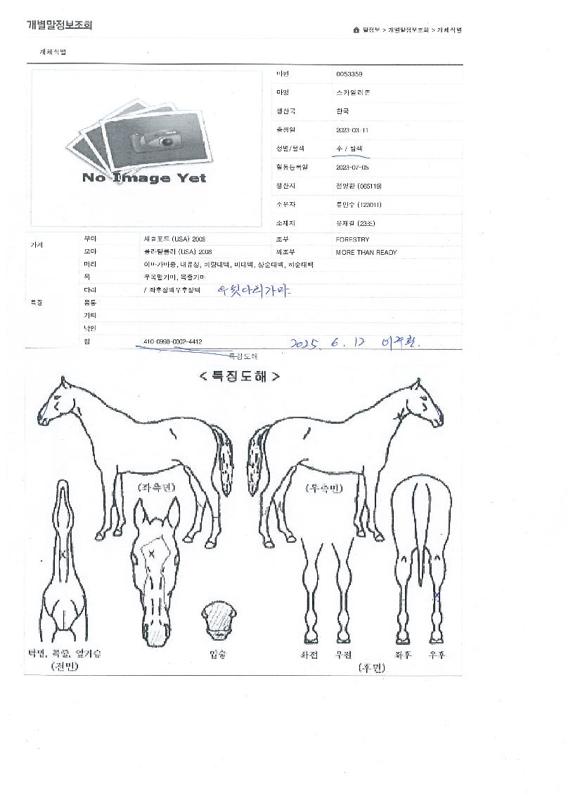 ��ī�Ϸ����� ����,���,�޸�,�λ�,�ٸ��� Ư¡����