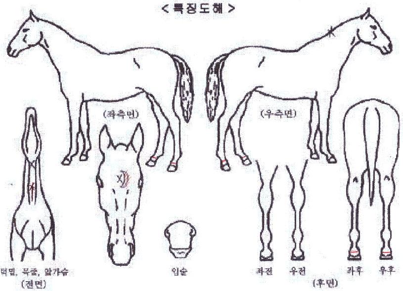 �����̺��̺��� ����,���,�޸�,�λ�,�ٸ��� Ư¡����