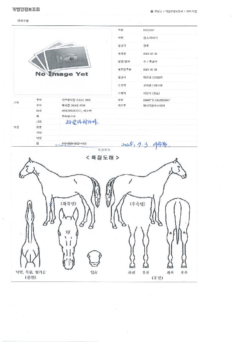 Å·½ºÆÄÀ̽ÃÀÇ Ãø¸é,¿ì¸é,µÞ¸é,µÎ»ó,´Ù¸®ÀÇ Æ¯Â¡µµÇØ