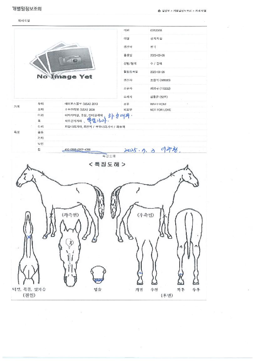 õÁöÀÚÄ®ÀÇ Ãø¸é,¿ì¸é,µÞ¸é,µÎ»ó,´Ù¸®ÀÇ Æ¯Â¡µµÇØ