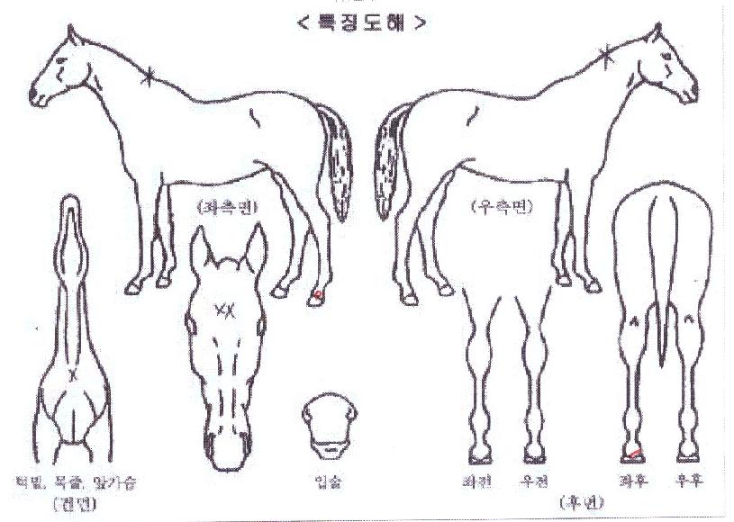 ���丮�������� ����,���,�޸�,�λ�,�ٸ��� Ư¡����